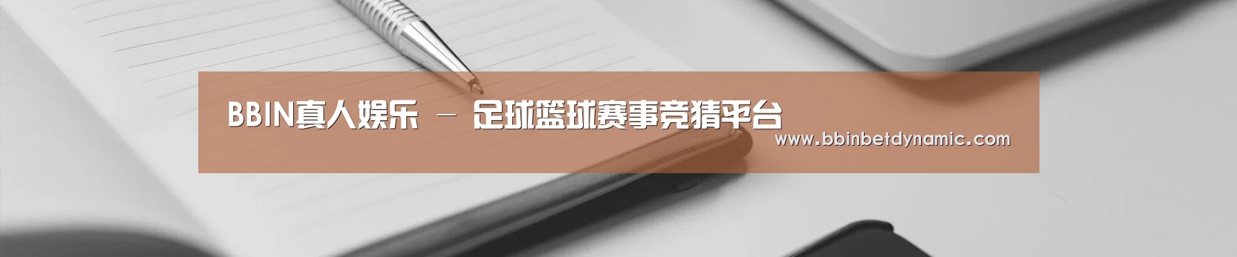 BBIN真人娱乐 - 足球篮球赛事竞猜平台