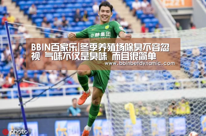 BBIN百家乐|冬季养殖场除臭不容忽视 气味不仅是臭味 而且很简单