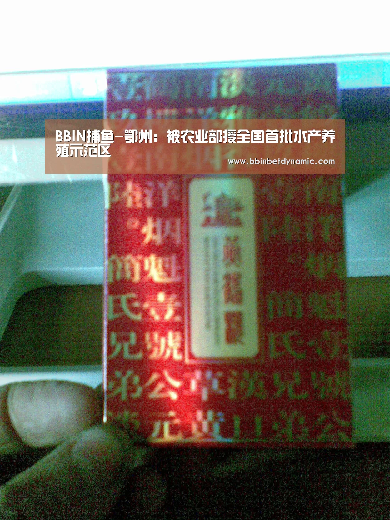 BBIN捕鱼-鄂州:被农业部授全国首批水产养殖示范区(图1) BBIN捕鱼