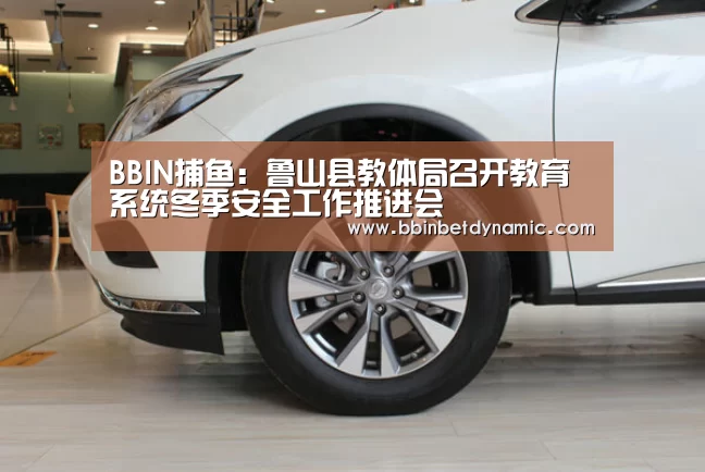 BBIN捕鱼:鲁山县教体局召开教育系统冬季安全工作推进会(图2) BBIN下载