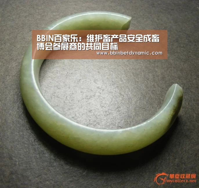 BBIN捕鱼