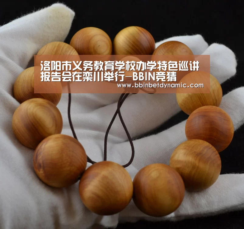 BBIN捕鱼