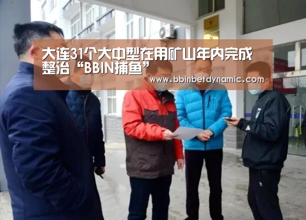 大连31个大中型在用矿山年内完成整治“BBIN捕鱼”(图1) BBIN竞猜