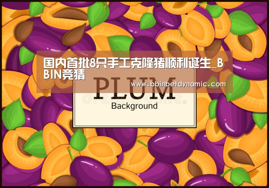 国内首批8只手工克隆猪顺利诞生_BBIN竞猜(图2) BBIN竞猜