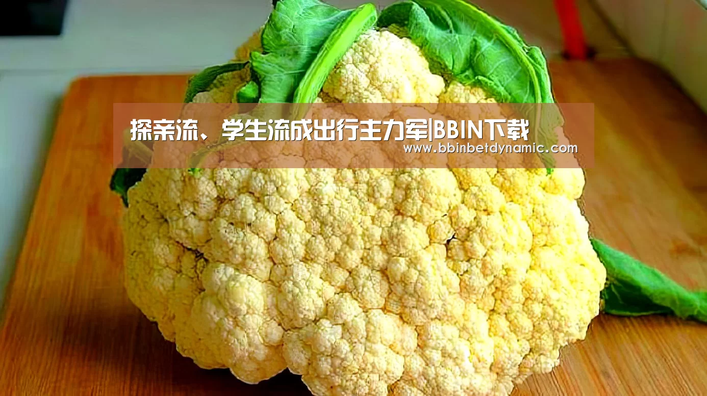 探亲流、学生流成出行主力军|BBIN下载(图2) BBIN百家乐
